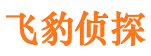 沿滩寻人公司